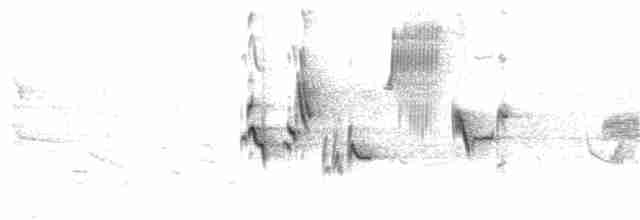 Turuncu Gagalı Bülbül Ardıcı - ML322952181