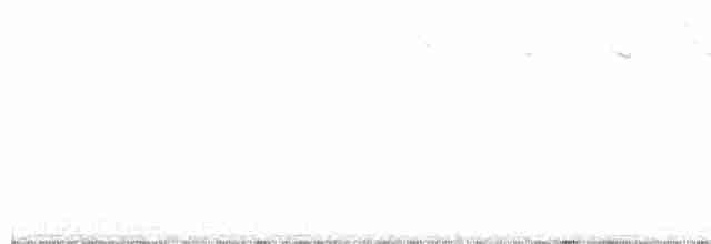 Kalkadoon Grasswren - ML322991341