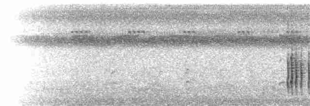 Опоясанный зимородок - ML32300691