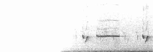 Luzonschneidervogel - ML323115951