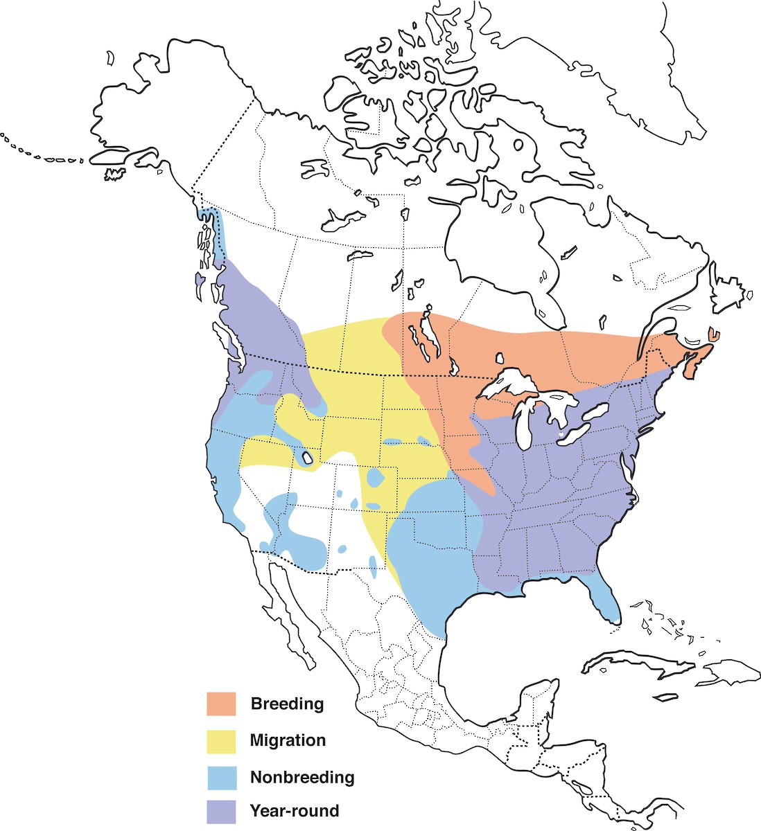 Hooded Merganser Range Map