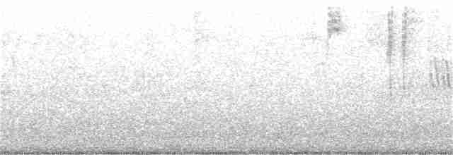 Пестрогрудая овсянка (Лисья) - ML323165151