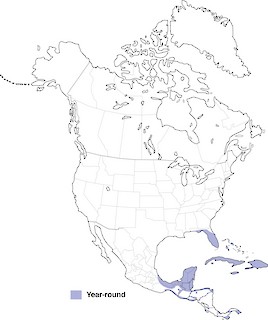 Figure 1. Distribution of the Limpkin. - Range Map