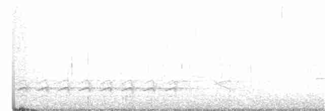 Weißbrustkleiber (carolinensis) - ML323203571