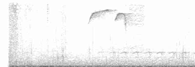 Weißbrustkleiber (carolinensis) - ML323203591