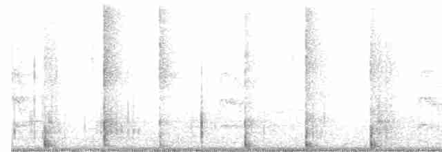Pileated Woodpecker - ML323217811