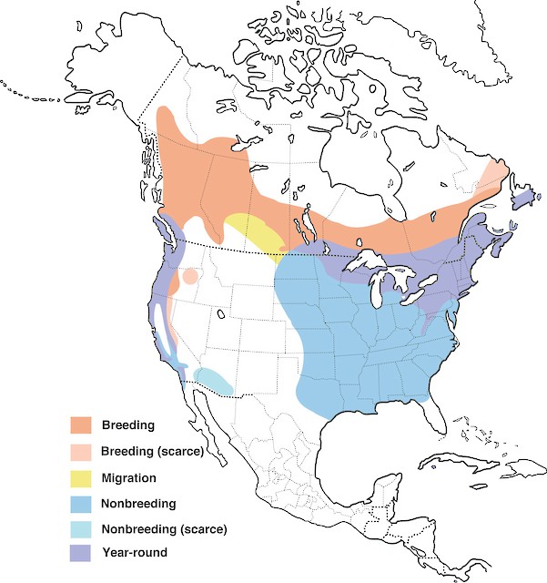 Figure 1. Distribution of the Purple Finch. -  - 