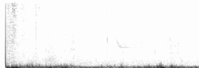 Plectrophane blanc - ML323266831