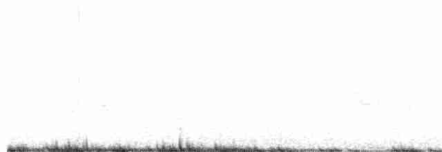 Plectrophane blanc - ML323266881