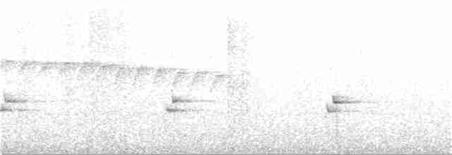 Белогрудый крапивник - ML323537641