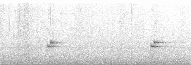Troglodyte à poitrine blanche - ML323538071