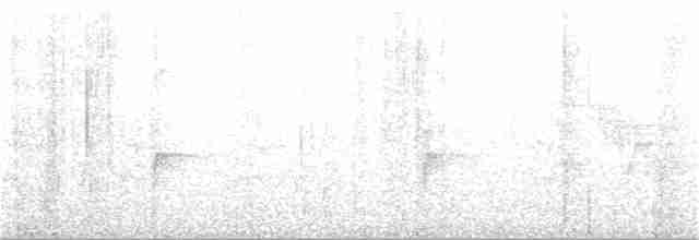 Охристобрюхий тираннчик - ML323539321
