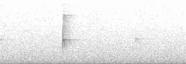Охристобрюхий тираннчик - ML323543061