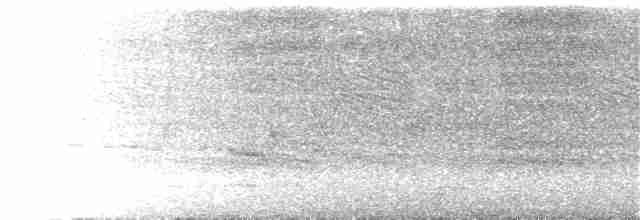 Halsband-Ameisenvogel - ML323556121