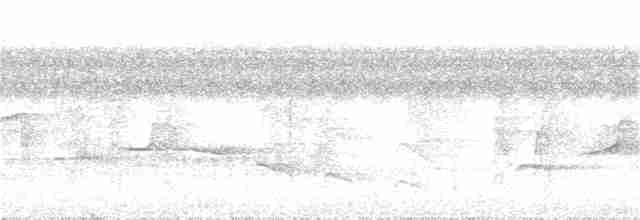 Оринокская мягкохвостка - ML323587951
