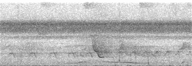 Шлемоносная чубатка - ML323589991