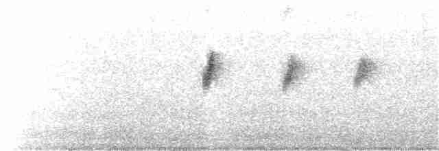 Mirlo Acuático Europeo - ML323626131