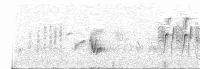 Tawny-flanked Prinia - ML323656881