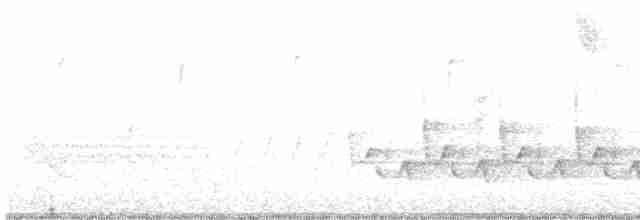Yellow-rumped Warbler (Myrtle) - ML323669481