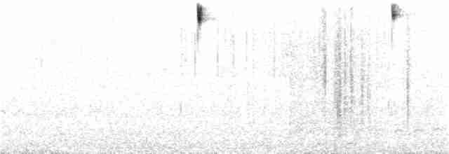 Пестрогрудая овсянка (Лисья) - ML32368081