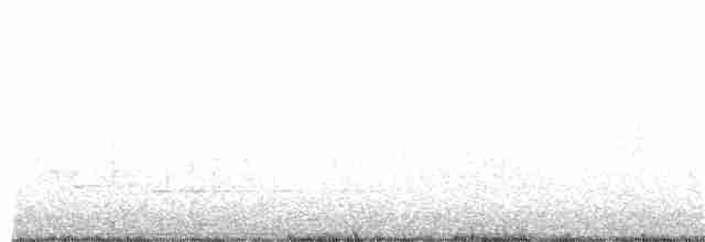 Hirondelle bicolore - ML323685931