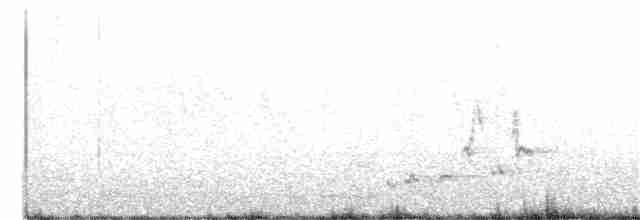 Manchurian Bush Warbler - ML323765891