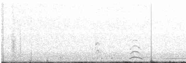 Tundra Swan (Whistling) - ML323821151