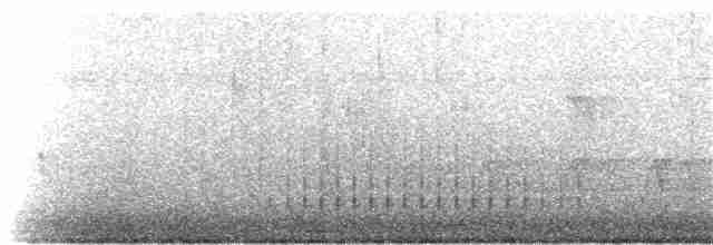 Белокрылая горлица - ML323825651