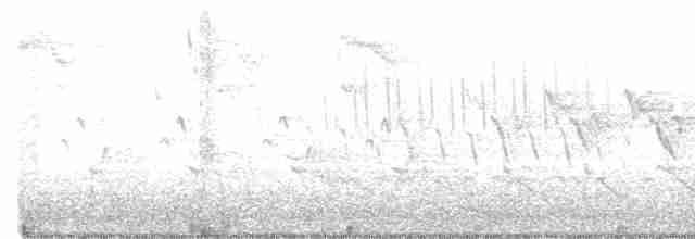 Yellow-throated Warbler - ML323870151