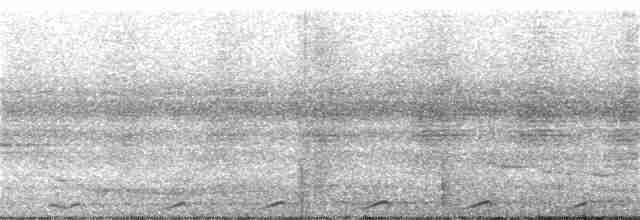 holub světleoký - ML323927071