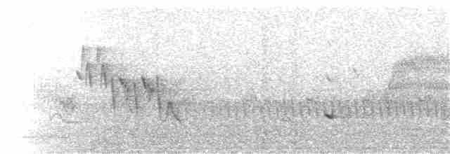 White-tailed Kite - ML324062891