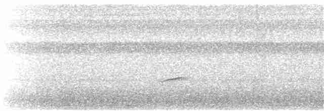 Дрізд-короткодзьоб Cвенсона - ML324063741