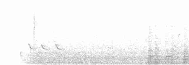 Common Redshank - ML324067581