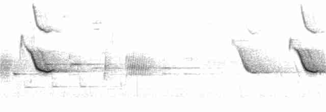 Al Kanatlı Karatavuk [phoeniceus grubu] - ML324156231
