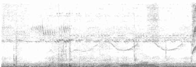 Large-tailed Antshrike - ML324207251