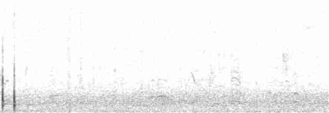 オオホシハジロ - ML324301361