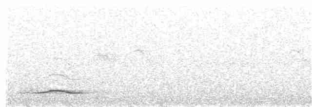 Black-headed Trogon - ML32443331