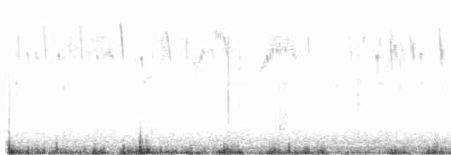 rorýs srpokřídlý (ssp. vauxi) - ML324534191