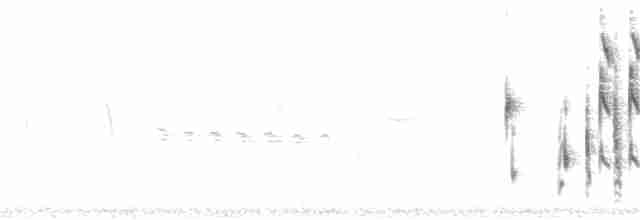 Болотный крапивник [группа paludicola] - ML324638171