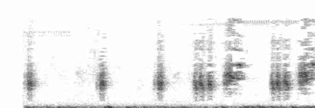 Clamorous Reed Warbler - ML324736471