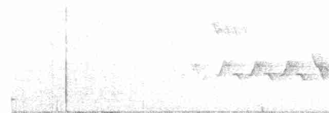 Boz Başlı Sinekkapan - ML324878871