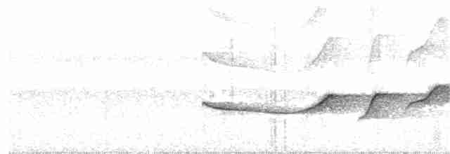 Russet-winged Schiffornis - ML324888191