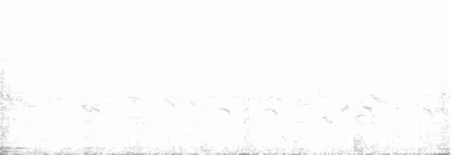 Серый петух - ML325052081