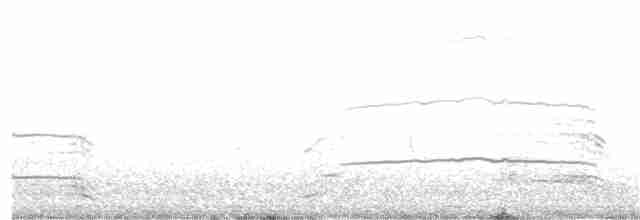 小黑背鷗 - ML325105271