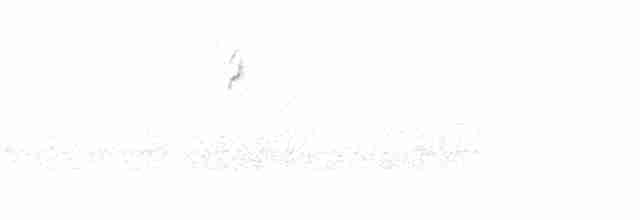Миртовый певун (coronata) - ML325122941