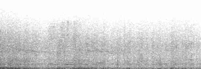 Turuncu-Siyah Sinekkapan - ML325131951
