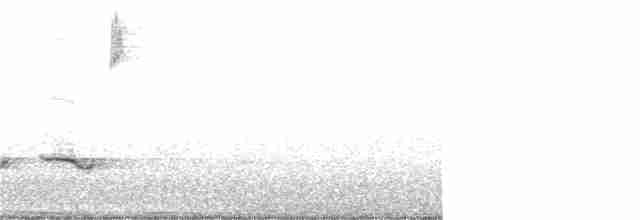 lesňáček modropláštíkový - ML325160931