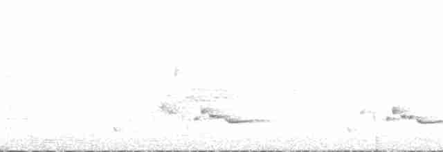 White-bellied Wren - ML325198241