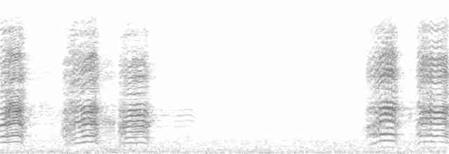 Красноголовая аратинга - ML325202311