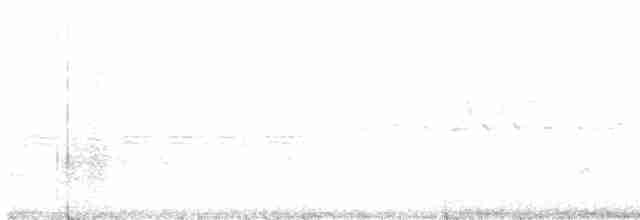 Pine Warbler - ML325202621